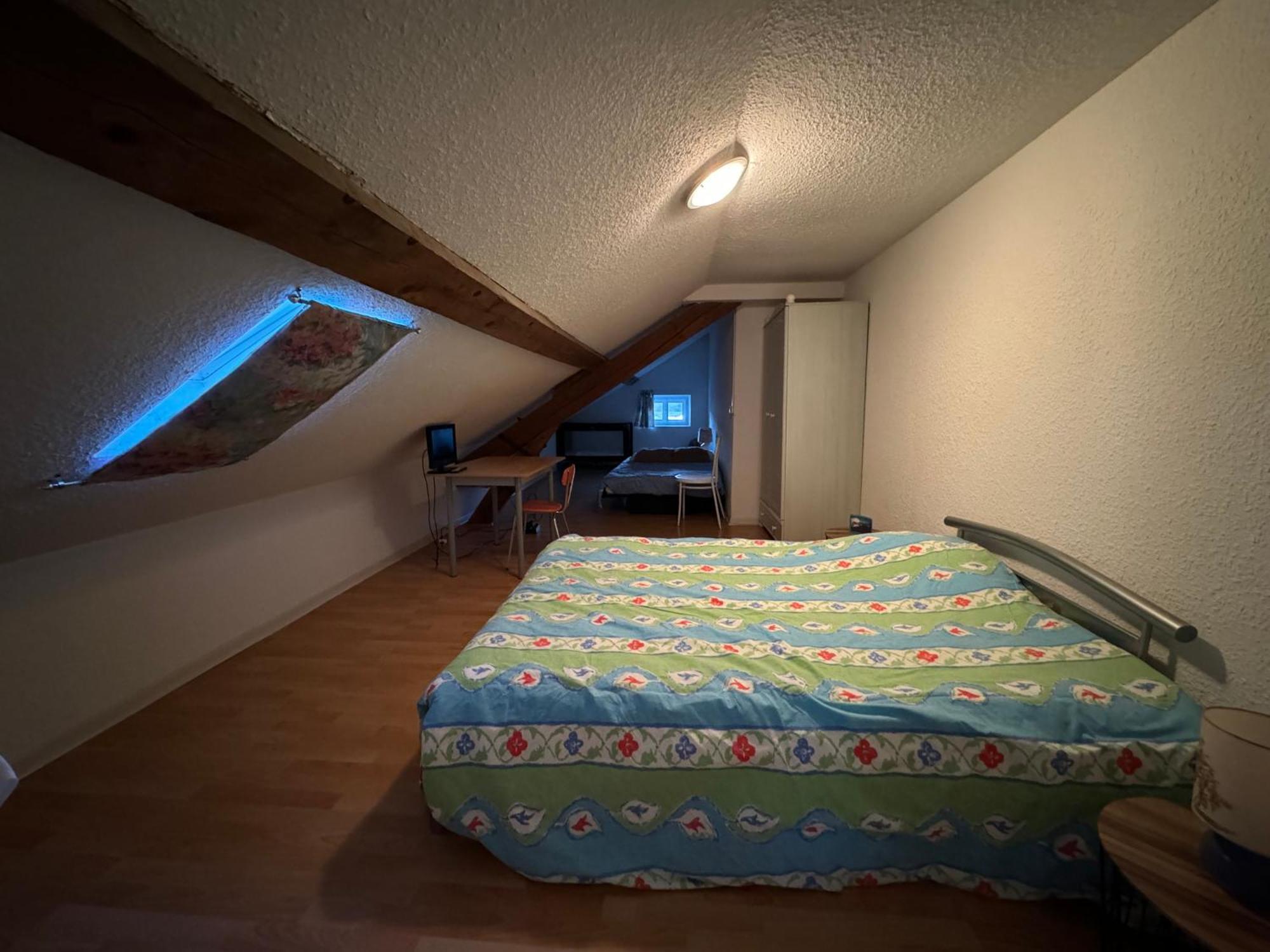 Appartement Logis Balneen Bains-les-Bains Kültér fotó