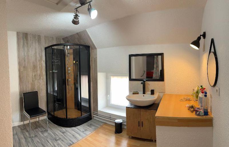 Appartement Logis Balneen Bains-les-Bains Kültér fotó